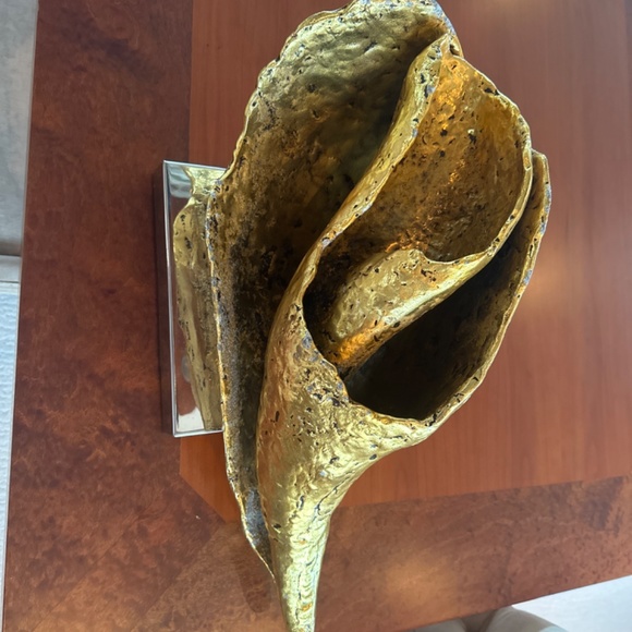 Shell - Picture 2 of 3